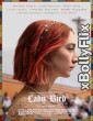 Lady Bird (2017) Dual Audio (ORG) [Hindi+English] Hollywood Hindi Dubbed Movie Download